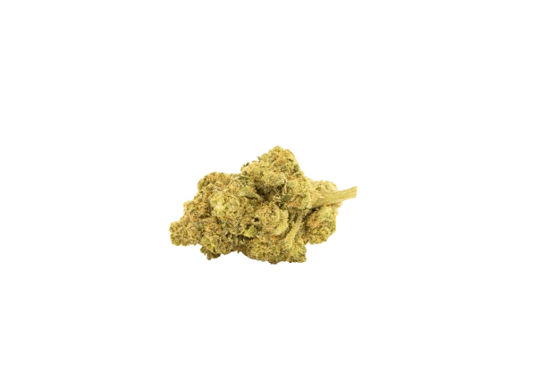 NICE 24/1 HBR Hash Burger