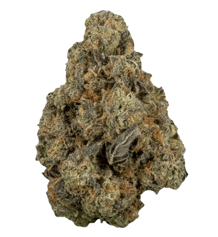 NICE 27/1 TMI Triangle Mints