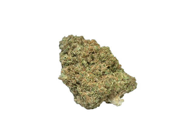 NOC AS 23 Chill Amnesia Kush x Sherbet Sockher