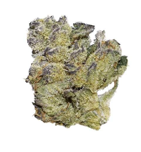 Tilray CRAFT THC20 SNS Sunset Sherbet