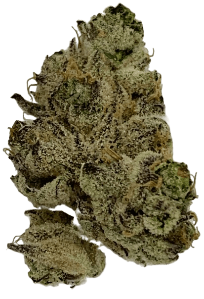 Tilray Craft Cannabisblüten THC22 PPV Platinum Pave