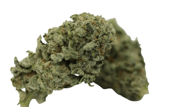 Tilray THC 15 Spotlight Porto Blueberry