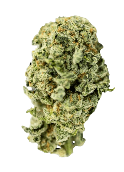 Tilray THC 15 Spotlight Porto Blueberry