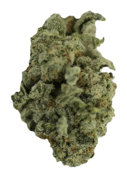 Tilray THC 18 Spotlight Porto BB Blueberry