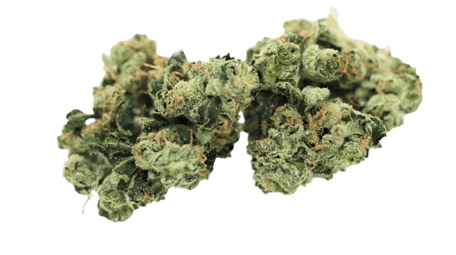 Tilray THC 18 Spotlight Porto Sour Diesel