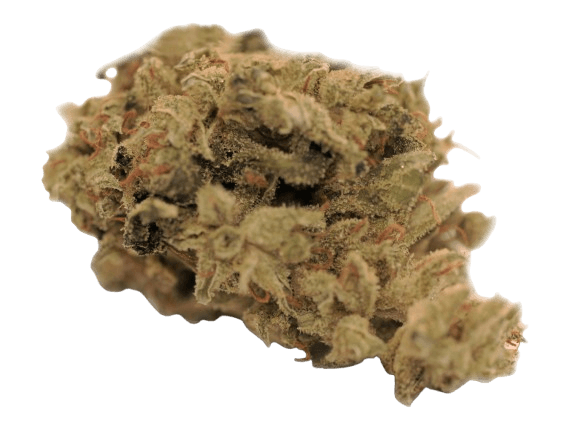 Tilray THC 18 Spotlight Vancouver Island Sweet Skunk