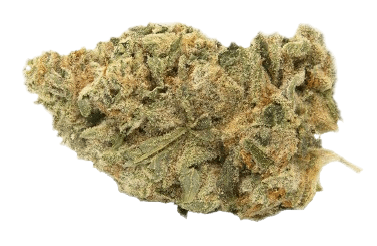 Tilray THC 22 Spotlight Montevideo Gorilla Glue