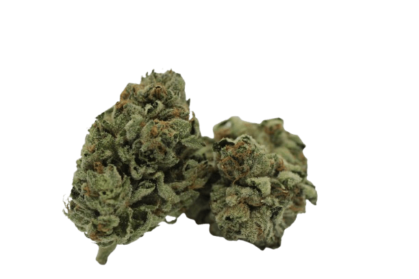 Tilray THC 22 Spotlight Porto Pink Kush