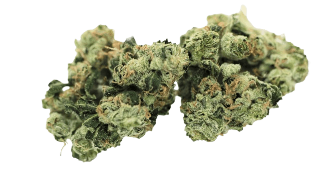 Tilray THC 22 Spotlight Porto Sour Diesel