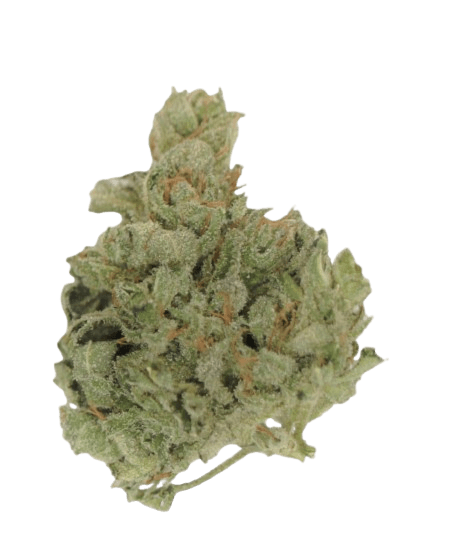 Tilray THC25 Sativa No.4 Island Sweet Skunk