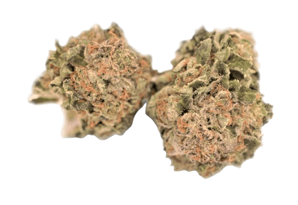 Tilray THC 25 Spotlight Porto Galaxy Walker OG