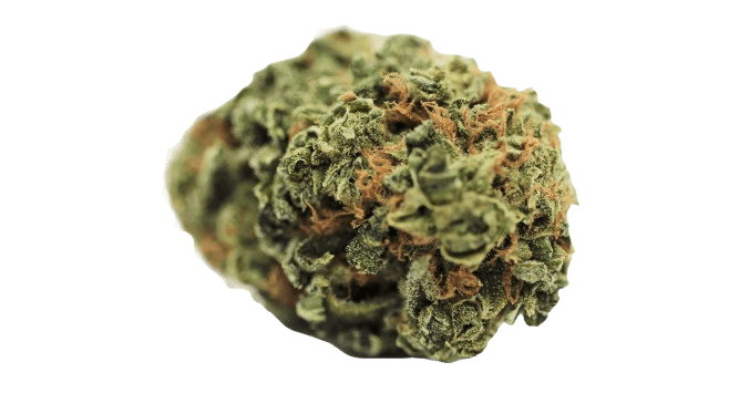 Tilray THC15 Spotlight Porto Girl Scout Cookies