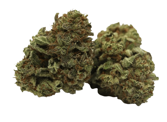 Tilray THC18 Spotlight Porto Lilac Diesel