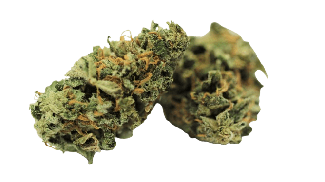 Tilray THC22 Craft Jean Guy Bienville