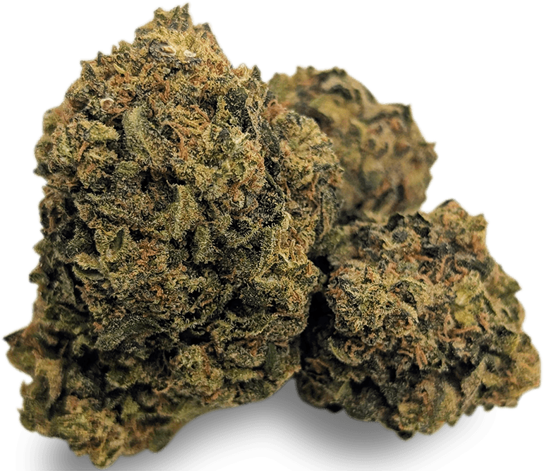 Zoiks 22/1 SLD Sun Lemon Diesel
