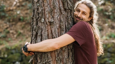 medizinisches-cannabis-und-psychische-strungen