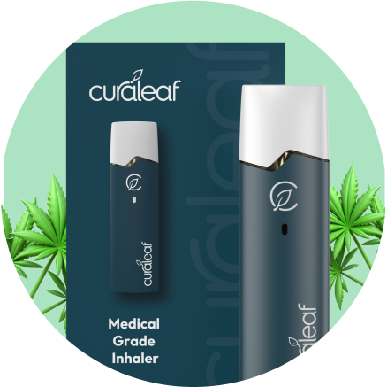Vape Pen von Curaleaf